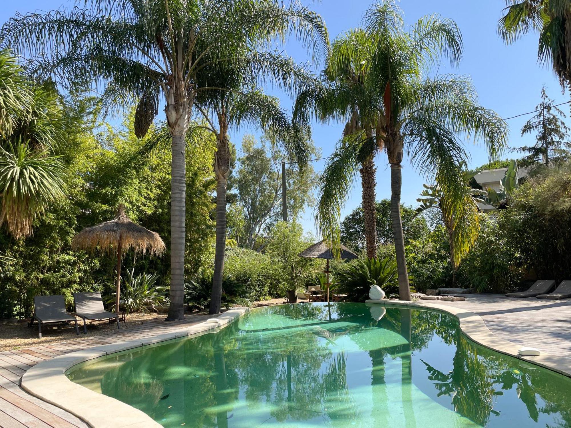 Guest house St Barth Cannes