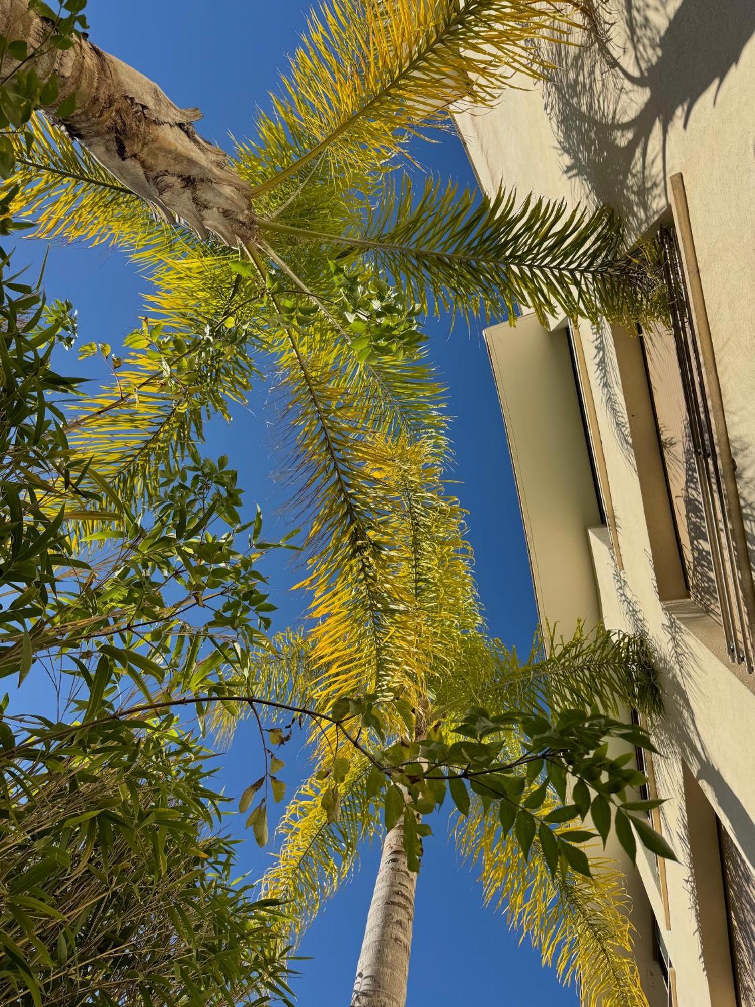 St Barth 5* Cannes