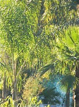 St Barth Gasthuis Cannes